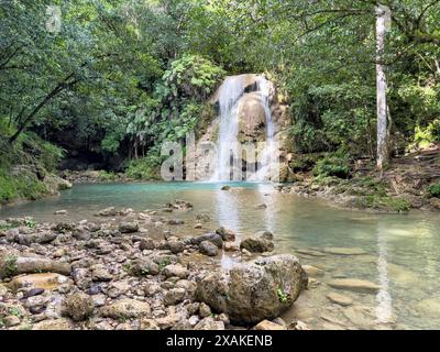 Nord America, Caraibi, grandi Antille, isola di Hispaniola, Repubblica Dominicana, penisola di Samana, El Limon, piccola cascata sotto salto El Limon Foto Stock