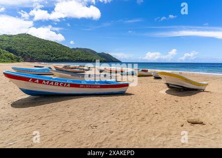 Nord America, Caraibi, grandi Antille, isola di Hispaniola, Repubblica Dominicana, penisola di Samana, El Valle, colorate barche da pesca sulla spiaggia di El Valle Foto Stock