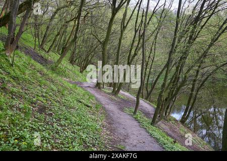 Inizio primavera, sentiero sterrato nel parco lungo lo stagno Foto Stock