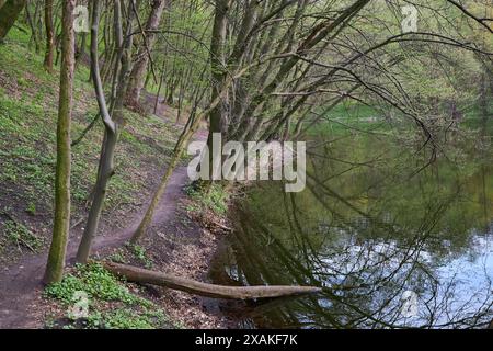 Inizio primavera, sentiero sterrato nel parco lungo lo stagno Foto Stock