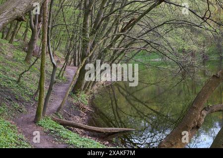 Inizio primavera, sentiero sterrato nel parco lungo lo stagno Foto Stock