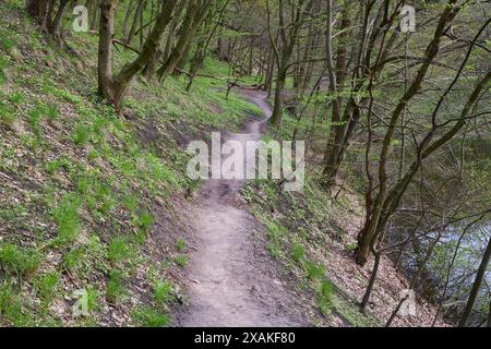 Inizio primavera, sentiero sterrato nel parco lungo lo stagno Foto Stock