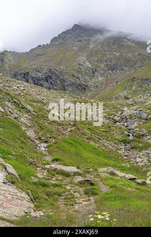 Europa, Austria, Verwall, Tirolo, Pettneu am Arlberg, vista dell'Hoher Riffler tra le nuvole Foto Stock