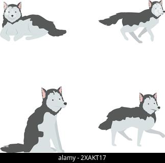 Collezione di illustrazioni con un simpatico husky cartoni animati in quattro diverse pose, isolato su bianco Illustrazione Vettoriale