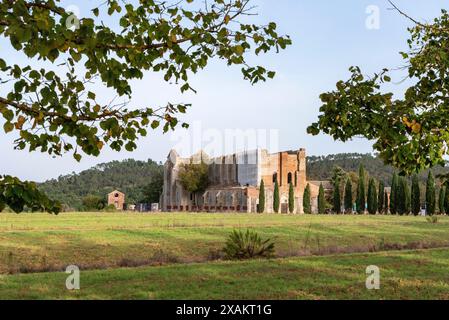 Rovine del monastero cistercense medievale di San Galgano in Toscana, Italia Foto Stock