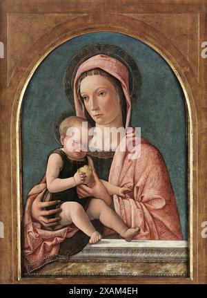 Madonna con bambino (Madonna Trivulzio) (1464) di Giovanni Bellini (1430-1516), tempera su tavola, Pinacoteca del Castello Sforzesco, Milano (IT). Foto Stock