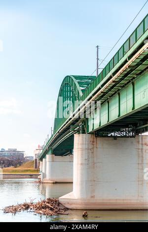 Belgrado, Serbia - 8 febbraio 2024: Il Ponte Vecchio di Sava è un ponte lungo 430 metri e largo 40 metri, che attraversa il fiume Sava a Belgrado, Serbia. Foto Stock