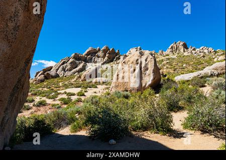 Buttermilk Rocks, famosi massi di granito per arrampicate; vicino a Bishop; California; USA Foto Stock