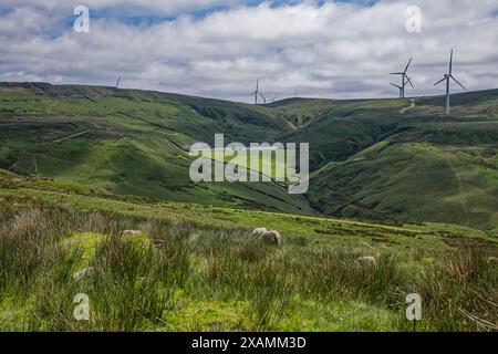 Scout Moor attraverso il Dearden Clough Foto Stock