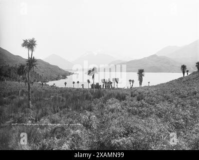 Mount Earnslaw, da Pigeon Island, lago Wakatipu, 1886. Foto Stock