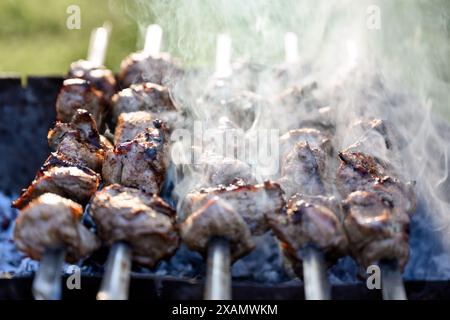 Shashlick di maiale sugli spiedini affumicati su una griglia barbecue. Preparare spiedini per barbecue all'aperto su carbone Foto Stock