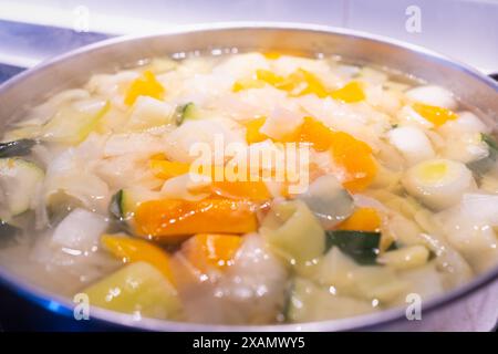 Una zuppa di verdure bolle in una pentola. È una ricetta sana e naturale, ecologica e sana ricca di fibre e molto gustosa. Ci sono carote, porro Foto Stock