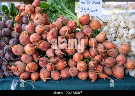 Pacchetto di verdure fresche con barbabietole Foto Stock