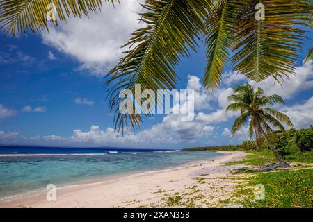 Vista panoramica sulla costa con palme a Obyan Beach, Saipan, Isole Marianne Settentrionali. L'isola di Tinian può essere vista all'orizzonte. Foto Stock