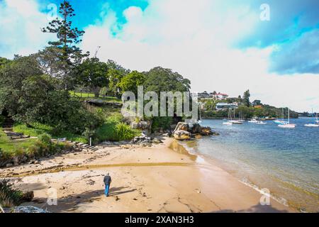 Milk Beach Sydney, yacht ormeggiati a Hermit Bay sul porto di Sydney, NSW, Australia Foto Stock