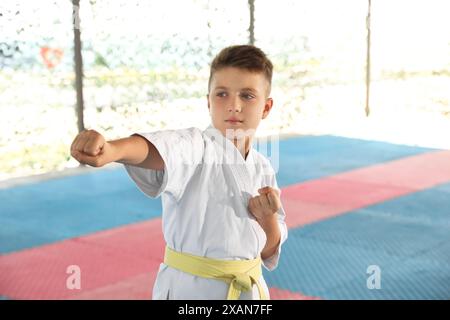 Ragazzo in kimono pratica karate su tatami all'aperto Foto Stock