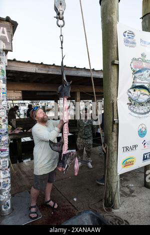 Gli orgogliosi pescatori posano con il loro impressionante pescato alla fine di una giornata di pesca di successo a Venice Marina, una rinomata destinazione di pesca in Louisiana. Foto Stock