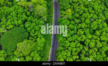 Vista aerea di una strada nel mezzo della foresta. Vista dall'alto della strada asfaltata attraverso la foresta con avventura in auto. Ambiente sano viaggio su strada. Foto Stock