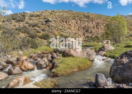 Un torrente roccioso scorre attraverso un'area erbosa Foto Stock