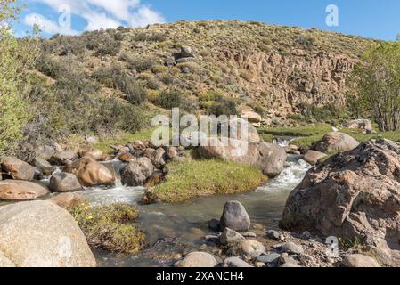 Un torrente roccioso scorre attraverso un'area erbosa Foto Stock