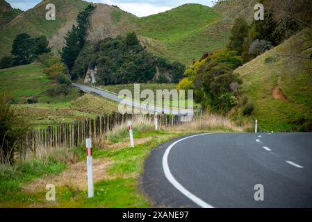 New Zealand State Highway 43 (Forgotten World Highway) Foto Stock