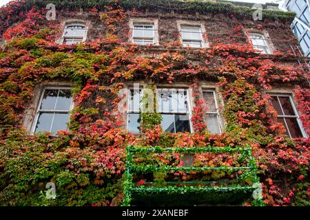 The Northern Club - Auckland - nuova Zelanda Foto Stock