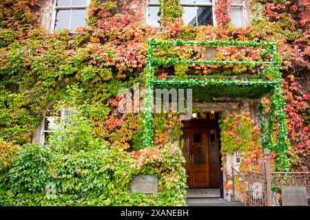 The Northern Club - Auckland - nuova Zelanda Foto Stock