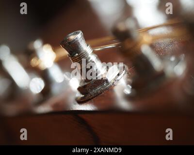 Punta di sintonizzazione su una chitarra a 12 corde Foto Stock