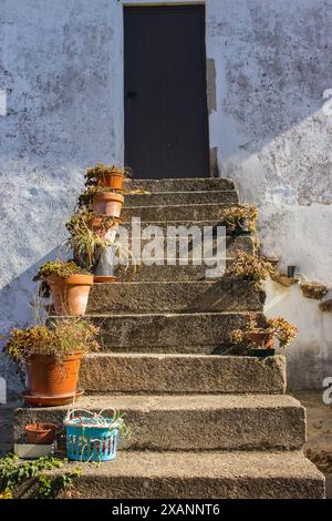 Vasi di fiori su scale esterne sullo sfondo del tetto. Decorazione tradizionale di un villaggio in Europa. Vasi di fiori sui gradini sul cortile posteriore. Foto Stock