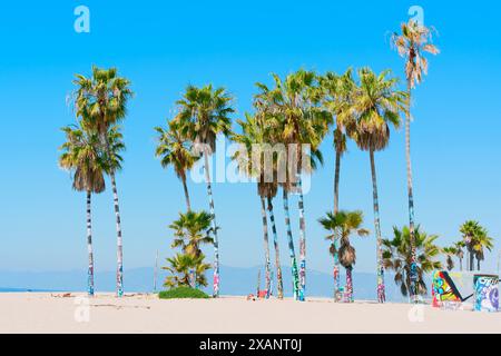 Los Angeles, California - 3 aprile 2024: Vivace gruppo di palme con tronchi dipinti con graffiti a Venice Beach Foto Stock