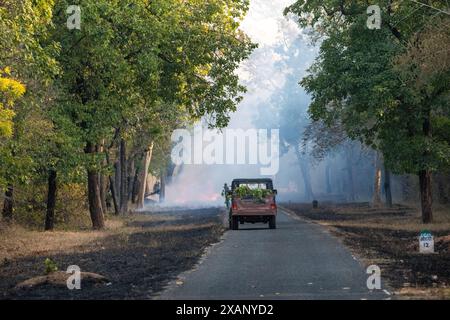 Combustione controllata lungo la strada per la manutenzione di un incendio, Pench NP, India Foto Stock