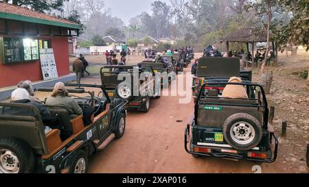 Coda di Safari Jeep al mattino a Kanha NP, India Foto Stock