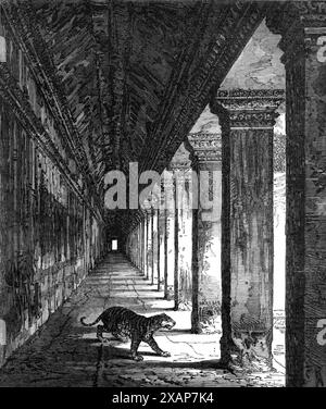 Colonnato occidentale del Tempio di Ongou Wat, [Angkor Wat], Cambogia, 1868. Incisione di una fotografia del signor J. Thomson. "Forse è inutile sottolineare che la tigre introdotta dal nostro disegnatore... non compare nella fotografia; ma si dice che le tigri frequentino il quartiere delle rovine....la storia della Cambogia è quasi sconosciuta; l'attuale razza di nativi afferma che una fuga di angeli scese dal cielo e costruì questi templi... i pilastri sono ben proporzionati e sormontati da un vero architrave, un fregio, che all'interno del tempio riceve elaborate sculture Foto Stock