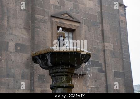 Piccioni nella fontana accanto alla Cattedrale di Santa Ana a Gran Canaria Foto Stock