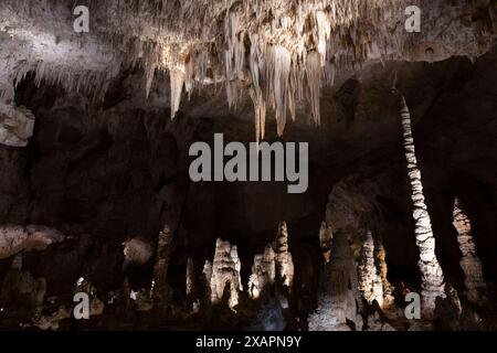 Una formazione di stalattiti chiamata Chandelier nelle Carlsbad Caverns Foto Stock