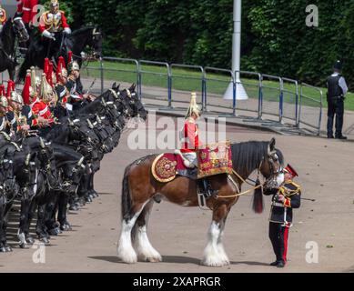 Horse Guards Parade Londra, Regno Unito. 8 giugno 2024. La rivista del colonnello della trooping of the Colour per la parata del compleanno del re ha luogo. Questa prova formale della parata cerimoniale di Stato è la revisione formale finale in uniforme completa delle truppe e dei cavalli prima di sfilare per la HM la parata ufficiale del compleanno del re il 15 giugno. I soldati sono ispezionati dal tenente generale Sir James Bucknall KCB CBE che prende il saluto, in sostituzione di Catherine, principessa del Galles. Immagine: Un cavallo a tamburo è pacificato. Crediti: Malcolm Park/Alamy Live News Foto Stock