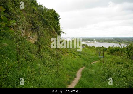 Monte Sint-Pieters parte belga, riserva naturale di San Pietro, altopiano calcareo, Eben-Emael, Belgio. Foto Stock