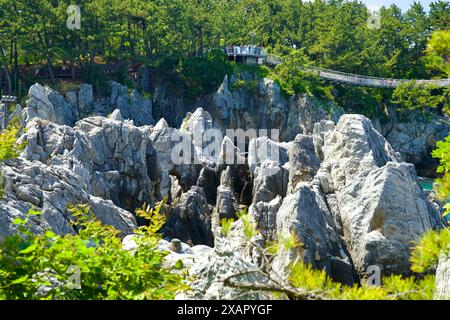 Donghae City, Corea del Sud - 18 maggio 2024: Le formazioni calcaree uniche della Foresta di pietra della Corea, con il Ponte sospeso Chuam nel backgroun Foto Stock