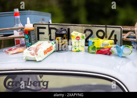 Bug Run al Mantorp Park, Mantorp, Svezia, durante il sabato. Gli appassionati di VW provenienti da tutta la Svezia si riuniscono alla Bug Run, che celebra i 40 anni di quest'anno, qui le persone incontrano coleotteri VW, autobus e altri modelli VW classici. Foto Stock