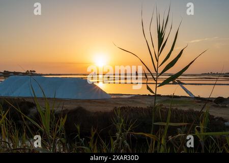 magnifico tramonto sulle saline Foto Stock