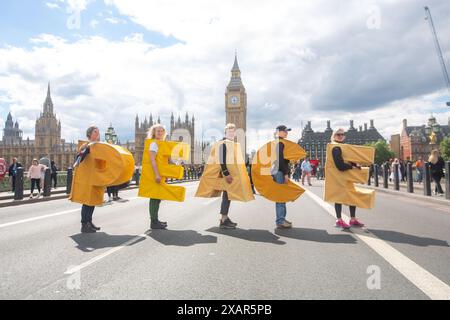 Londra, Inghilterra, Regno Unito. 8 giugno 2024. I manifestanti pro-palestinesi tengono lettere sul ponte di Westminster per formare la parola "pace". (Credit Image: © Tayfun Salci/ZUMA Press Wire) SOLO PER USO EDITORIALE! Non per USO commerciale! Foto Stock
