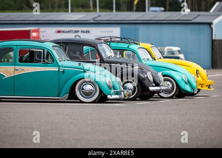 Mantorp Park, Svezia. 8 giugno 2024. Bug Run al Mantorp Park, Mantorp, Svezia, durante il sabato. Gli appassionati di VW provenienti da tutta la Svezia si riuniscono alla Bug Run, che celebra i 40 anni di quest'anno, qui le persone incontrano coleotteri VW, autobus e altri modelli VW classici. Crediti: Jeppe Gustafsson/Alamy Live News Foto Stock