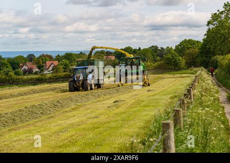 L'erba viene raccolta per insilato in un campo agricolo da una mietitrebbia e trattore John Deere, Harrogate, Yorkshire, Regno Unito. Foto Stock