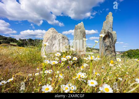 Cromlech di la Pasada del Abad (la Parada del Abad) Rosal de la Frontera, Huelva, Andalusia, Spagna. Foto Stock