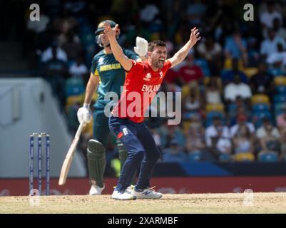 Bridgetown, Barbados. 8 giugno 2024. Coppa del mondo ICC T20 2024 - Australia contro Inghilterra grande appello dell'Inghilterra Mark Wood mentre l'Australia affronta l'Inghilterra nella Coppa del mondo ICC T20 a Kensington Oval, Bridgetown, Barbados. Crediti: Ian Jacobs/Alamy Live News Foto Stock