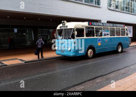 Autobus d'epoca un autobus d'epoca Oldtimer che trasporta i visitatori della fiera dell'arte da un luogo all'altro. Rotterdam, Paesi Bassi. Rotterdam Wilhelminapier Zuid-Holland Nederland Copyright: XGuidoxKoppesx Foto Stock