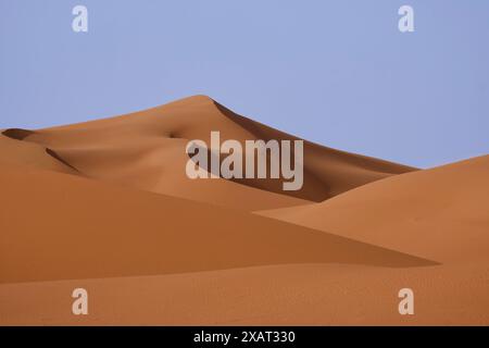 Nel Sahara Deserrt, le creste delle più piccole dune di sabbia conducono fino alla cima di una grande duna di sabbia. Foto Stock