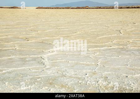 Superficie del lago salato del Karum, deserto della depressione del Danakil, regione di Afar, Etiopia Foto Stock