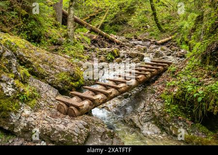 Parco nazionale del Paradiso slovacco in Slovacchia. Foto Stock