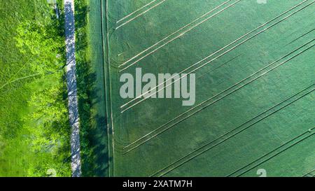 Veduta aerea di una strada attraverso Green Fields Foto Stock